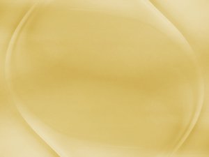 方案实战教程：手把手教你操作