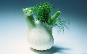 工具常见误区TOP10
